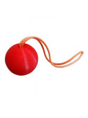 Шарик для трисби | Arbostuff